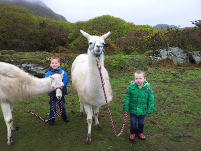 Black Rock Llama Trekking Review