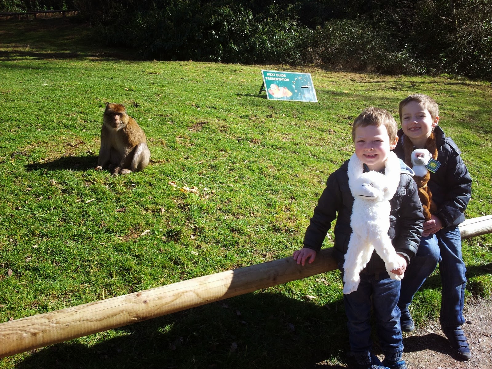 Trentham Monkey Forest