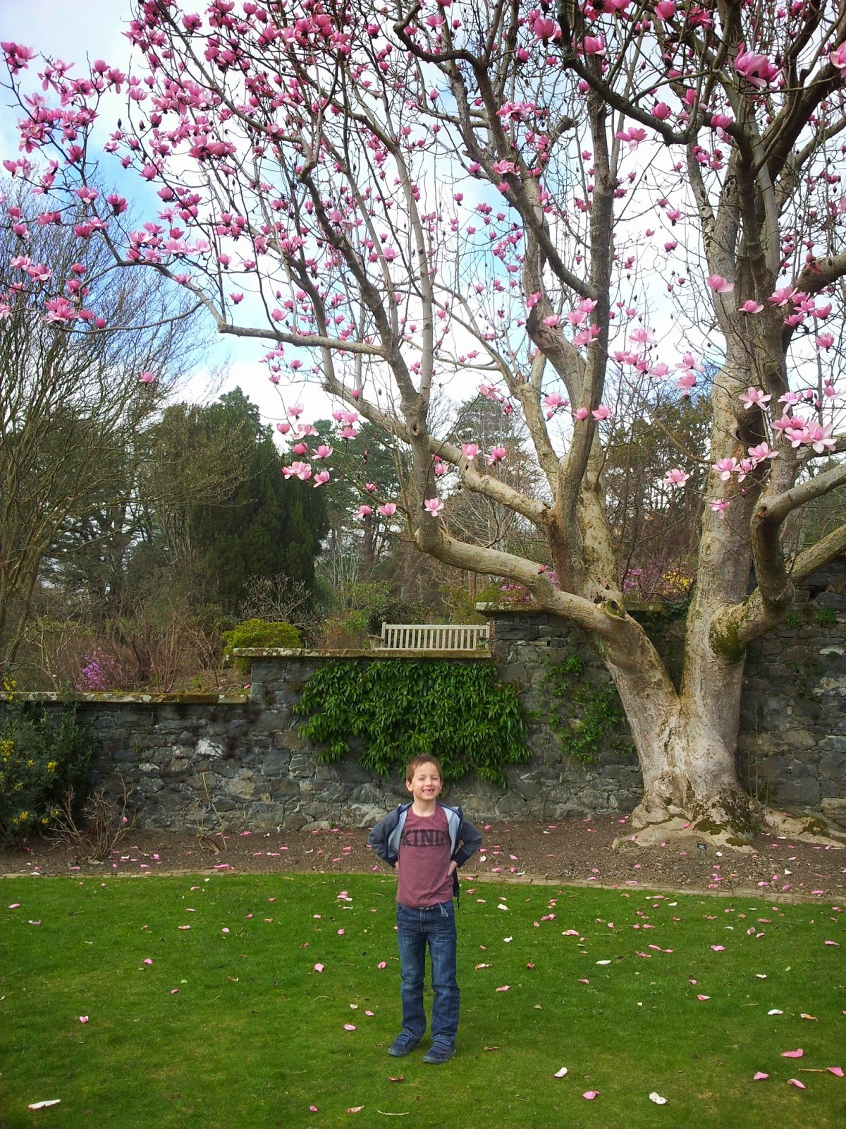Bodnant Garden