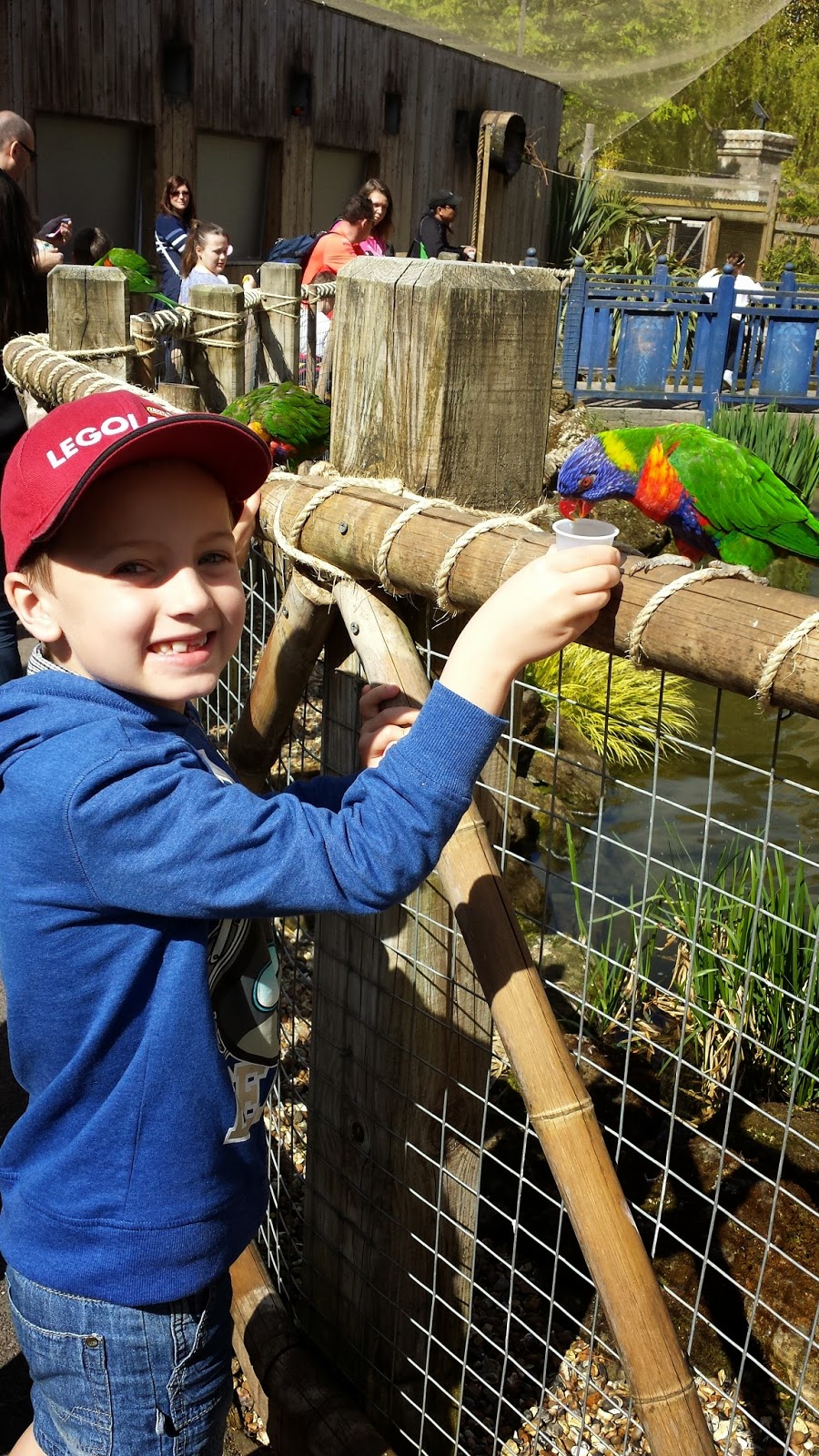 Chessington World of Adventures nectar feeding