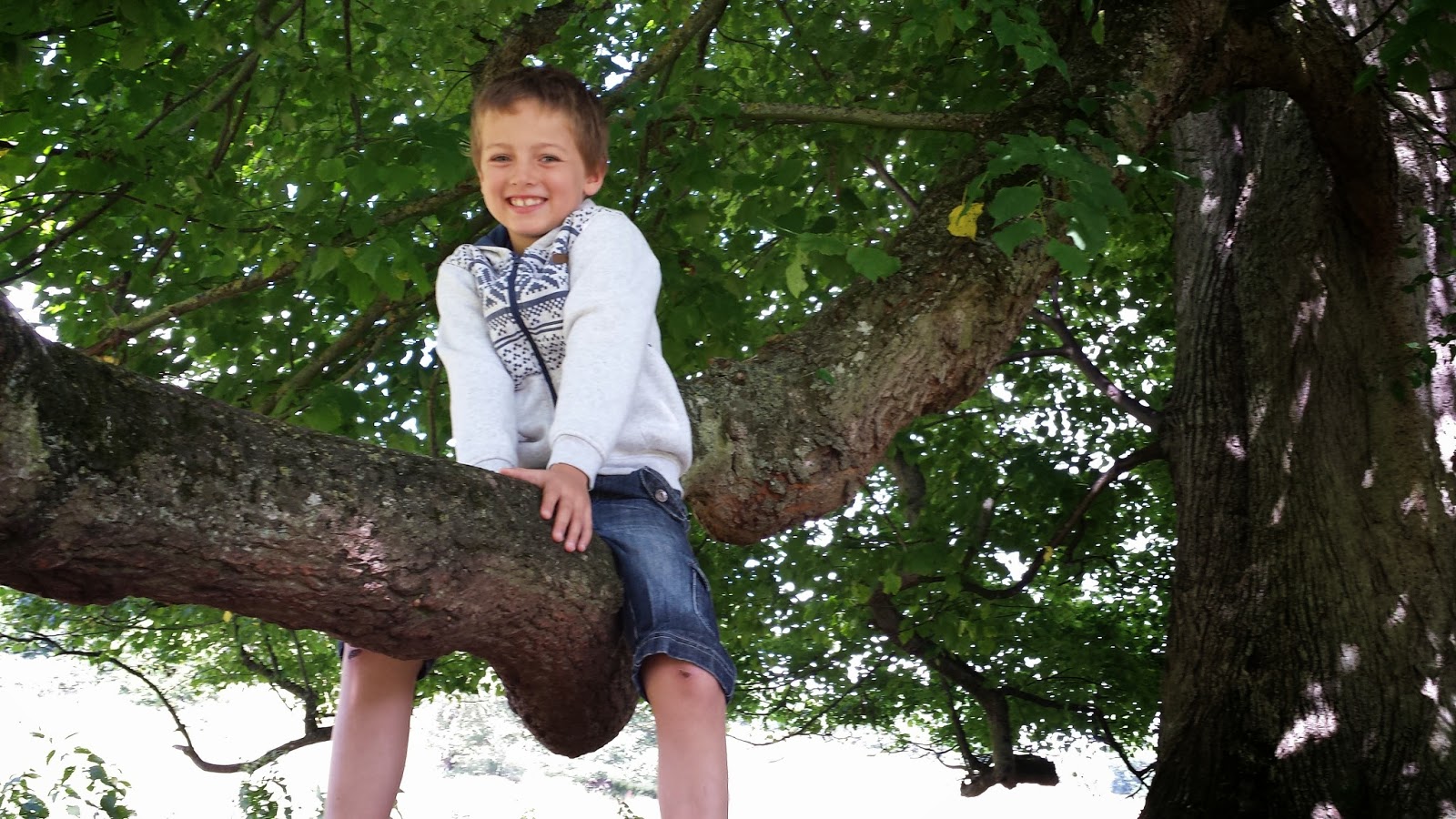 Tree climbing