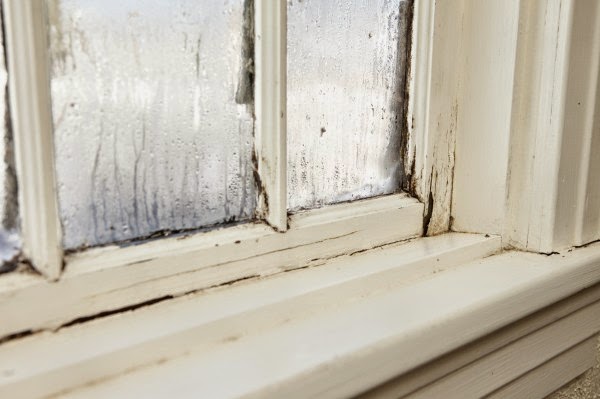 mould use a dehumidifier