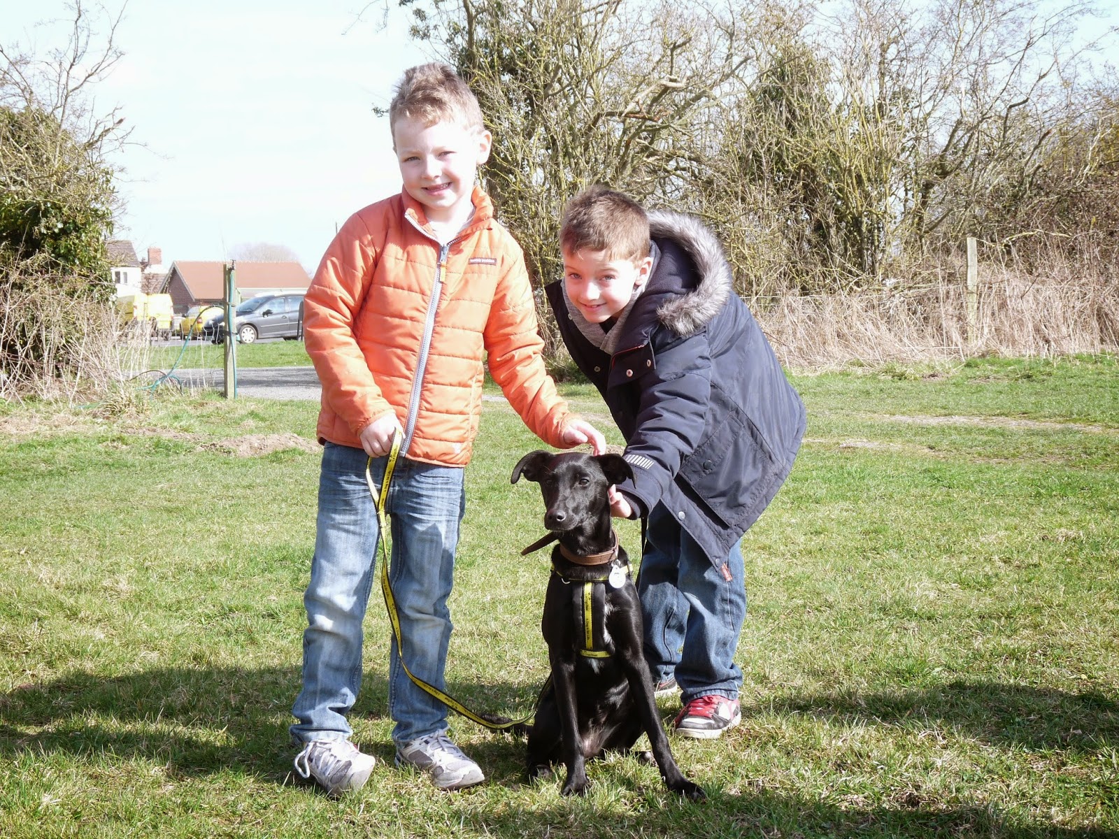 Dogs trust