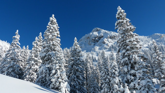 Winter adventures up a mountain