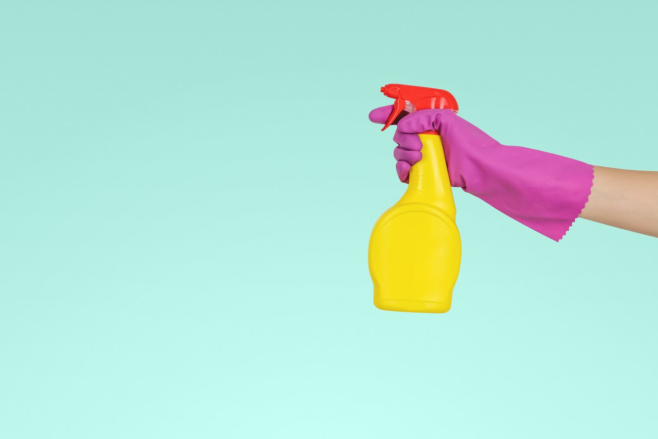 Cleaning Pet Hates