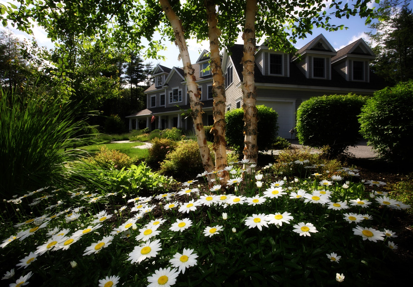exterior house