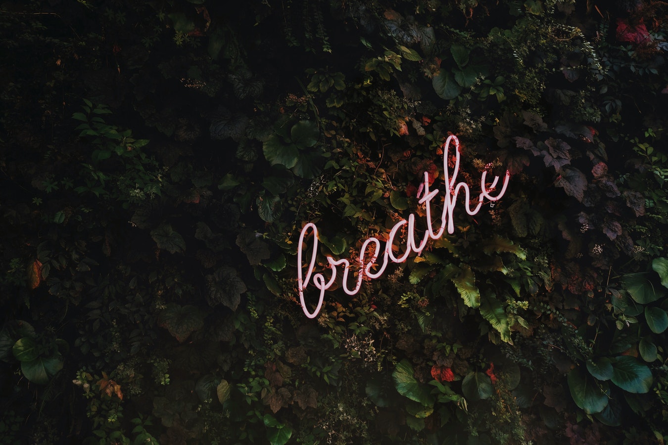 relax from stress