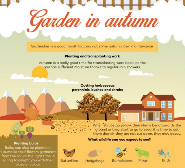 Garden Transforms Through the Seasons