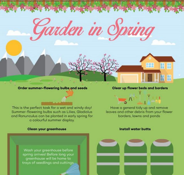 Garden Transforms Through the Seasons Spring