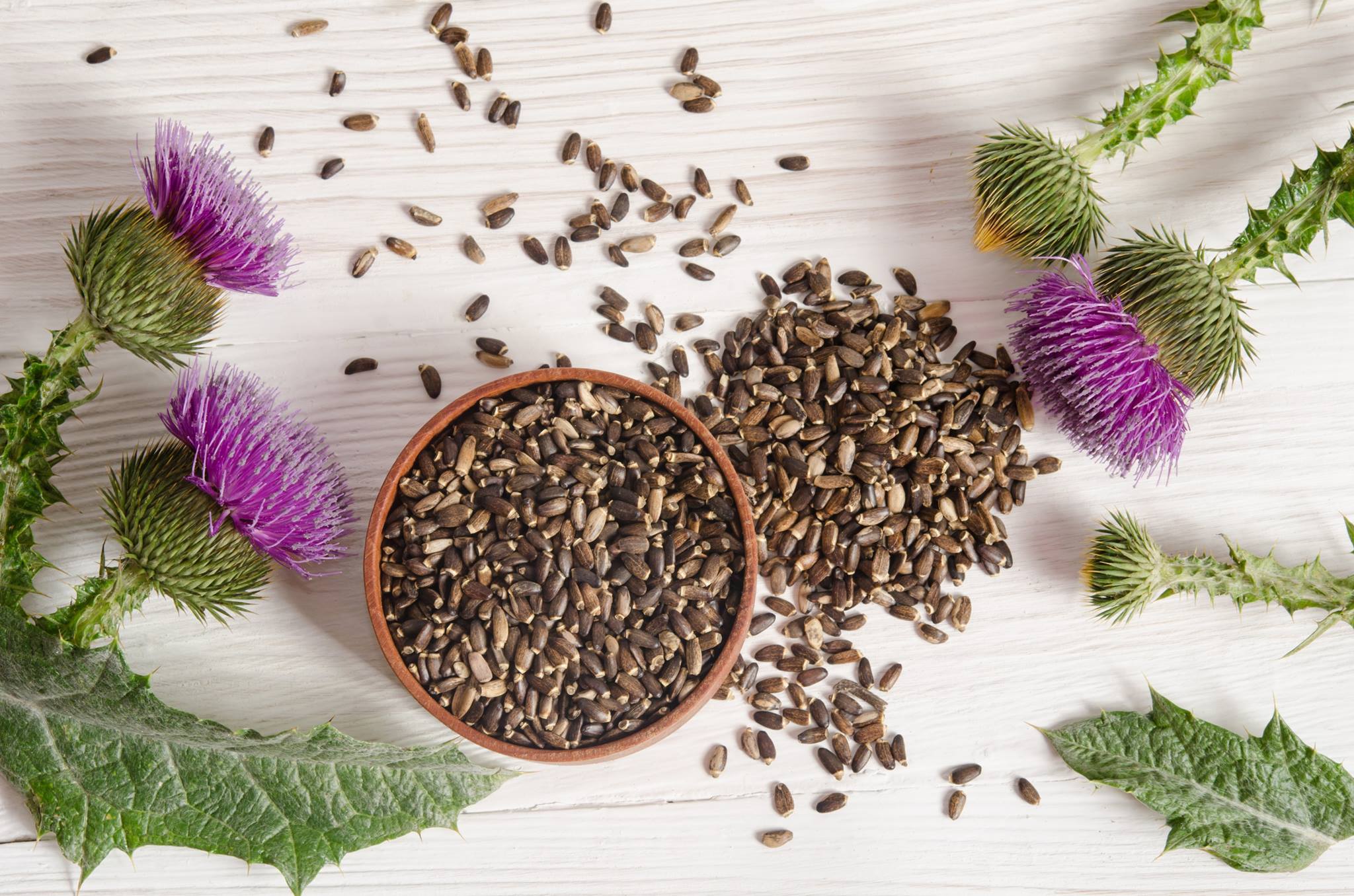 Indigo Herbs Review & Gift Giveaway