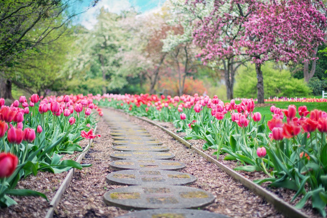 Gardens That Aren’t Going To Take Up All Of Your Time