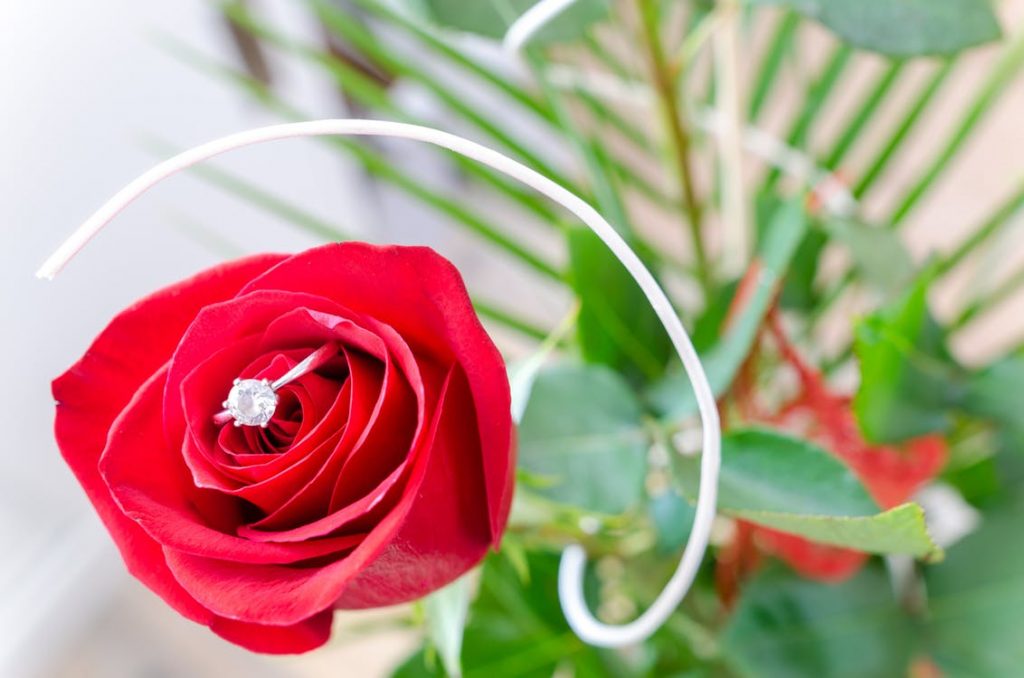 propose
