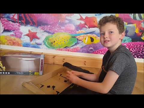 Giant RC Bumblebee Car Review & Giveaway