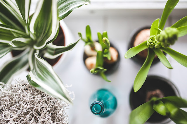4 Easy Ways to Detox Your Home For Better Health