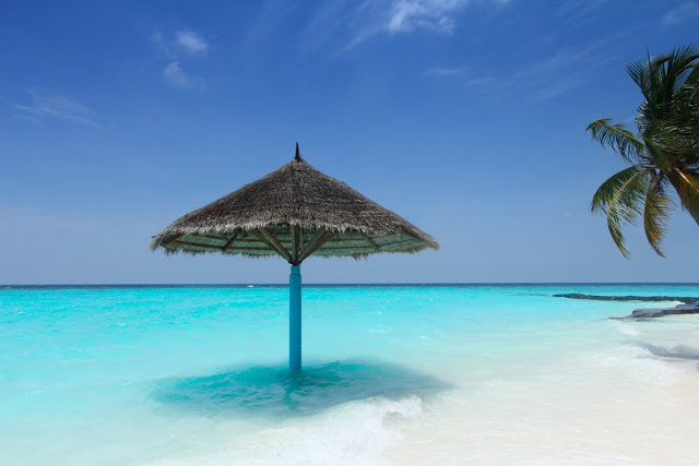 Find The Best Holiday Deals