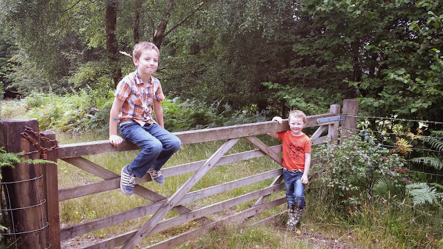 Introducing TimeSpring