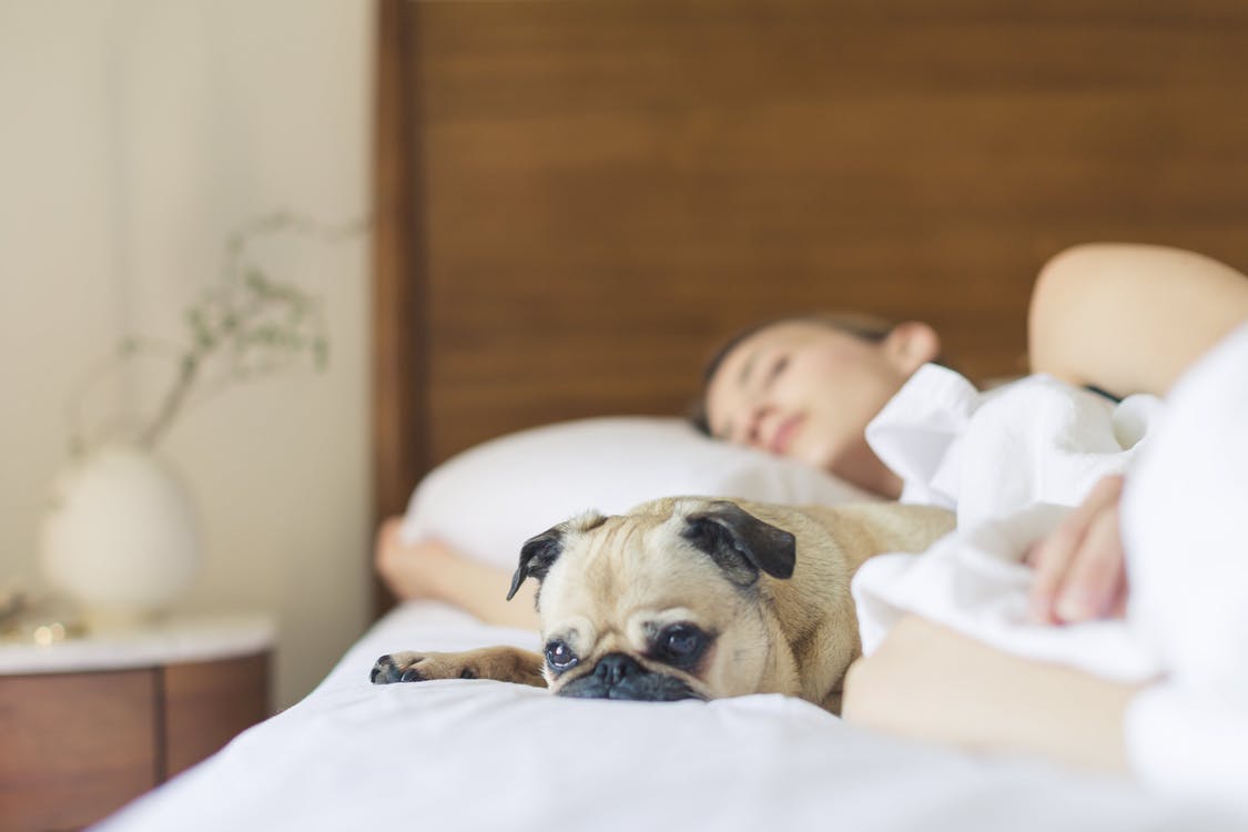 Good Night Sleep 5 Tips To Guarantee It