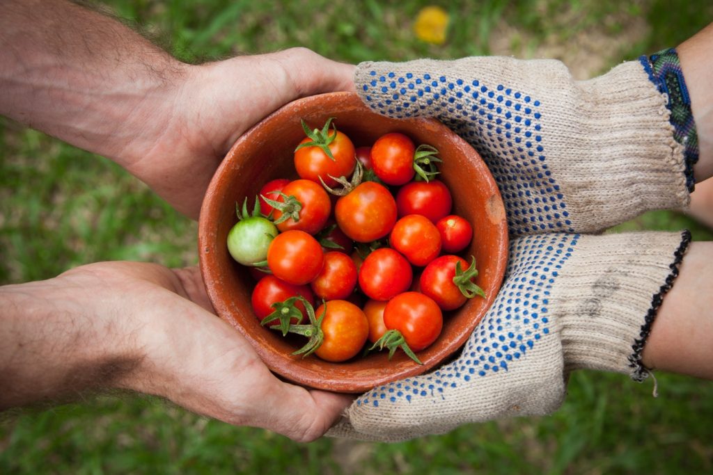 energy efficient growing