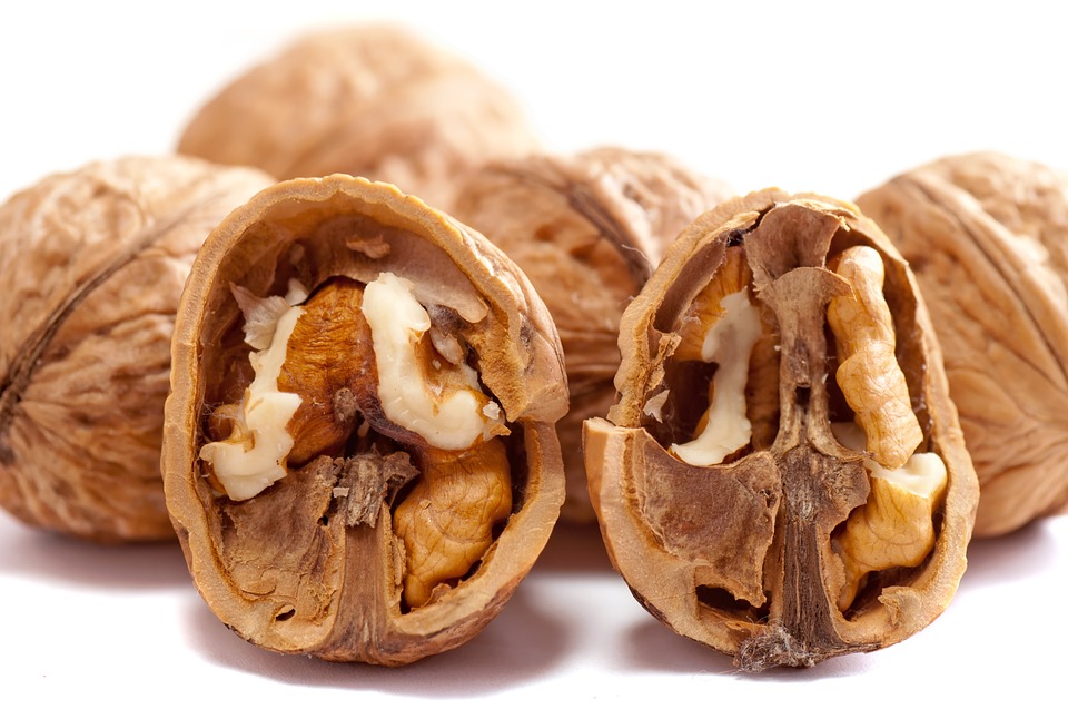 walnut care