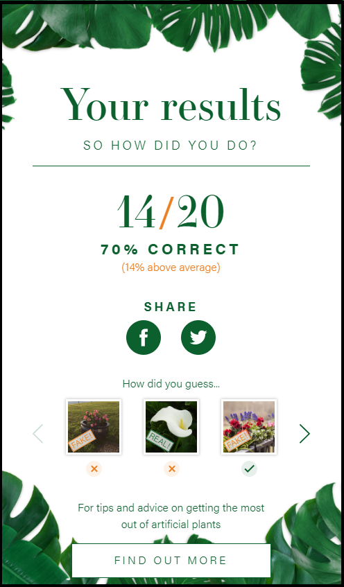 faux flower quiz