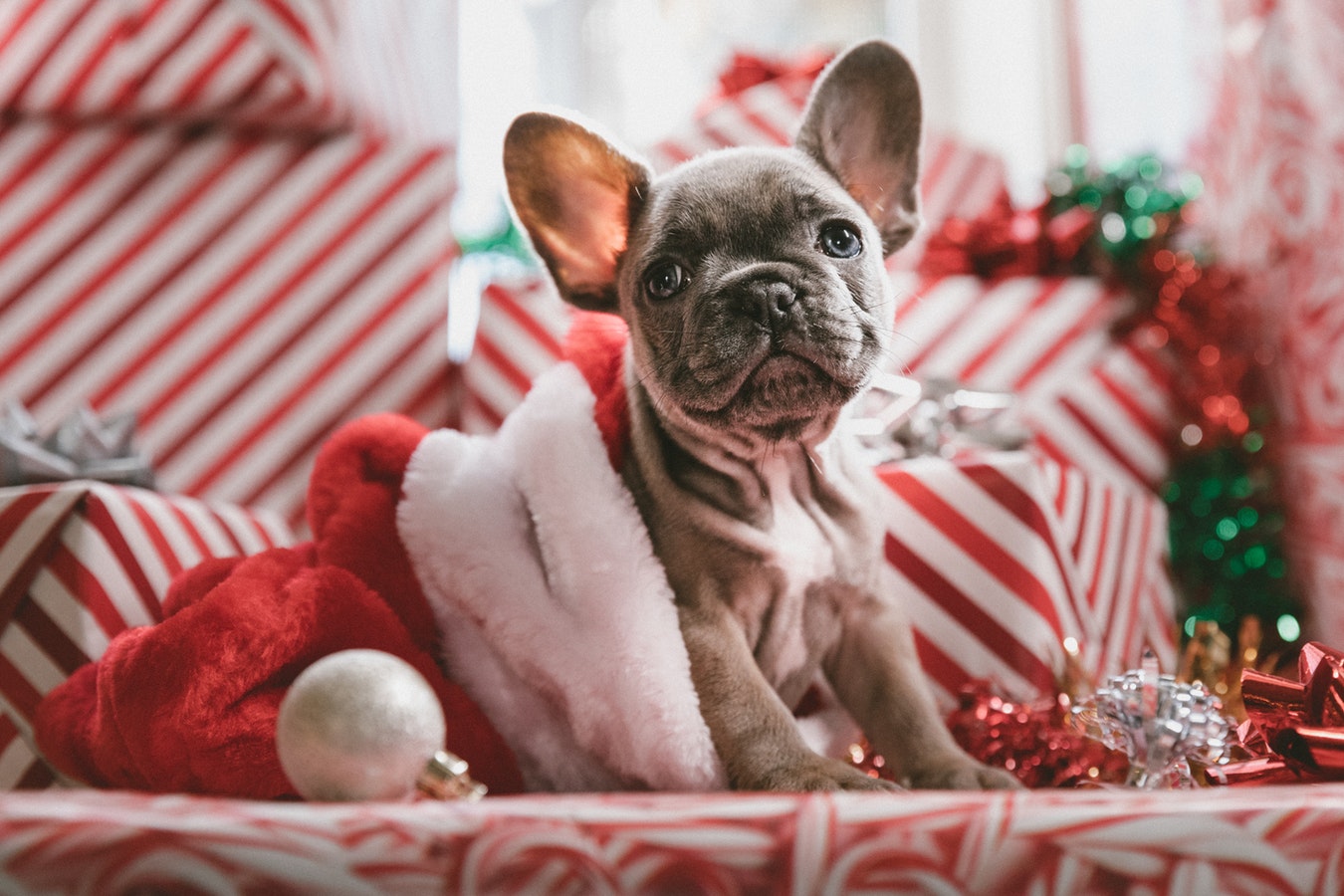 5 Money Saving Tips for Christmas