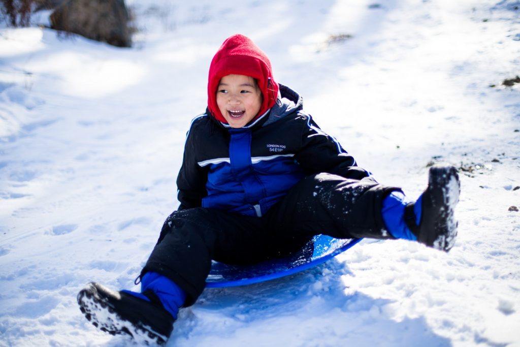 sleigh skiing