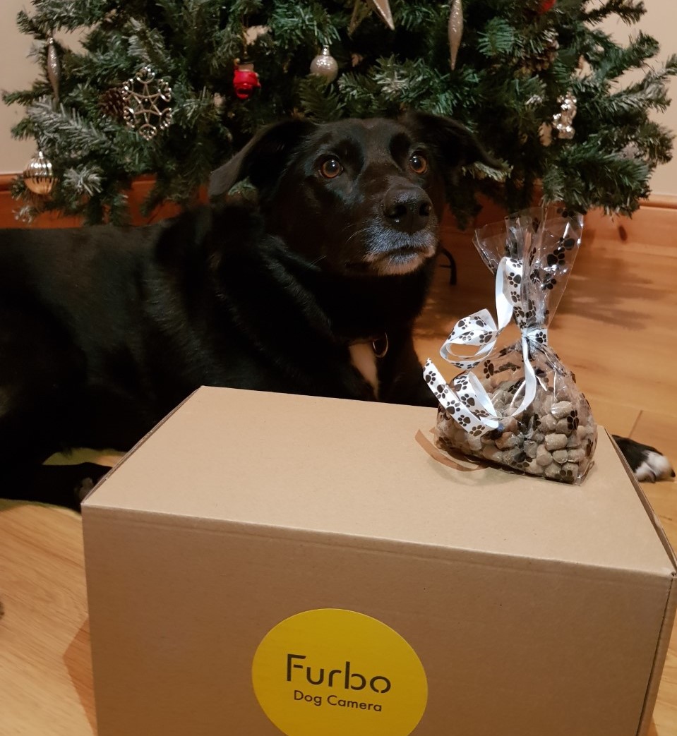 furbo
