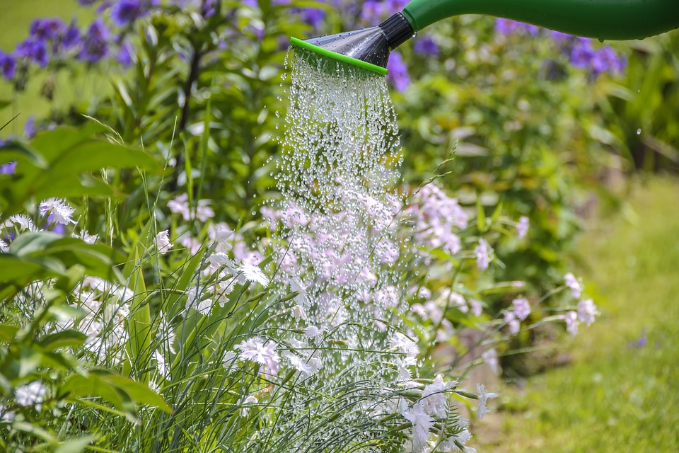 gardening
