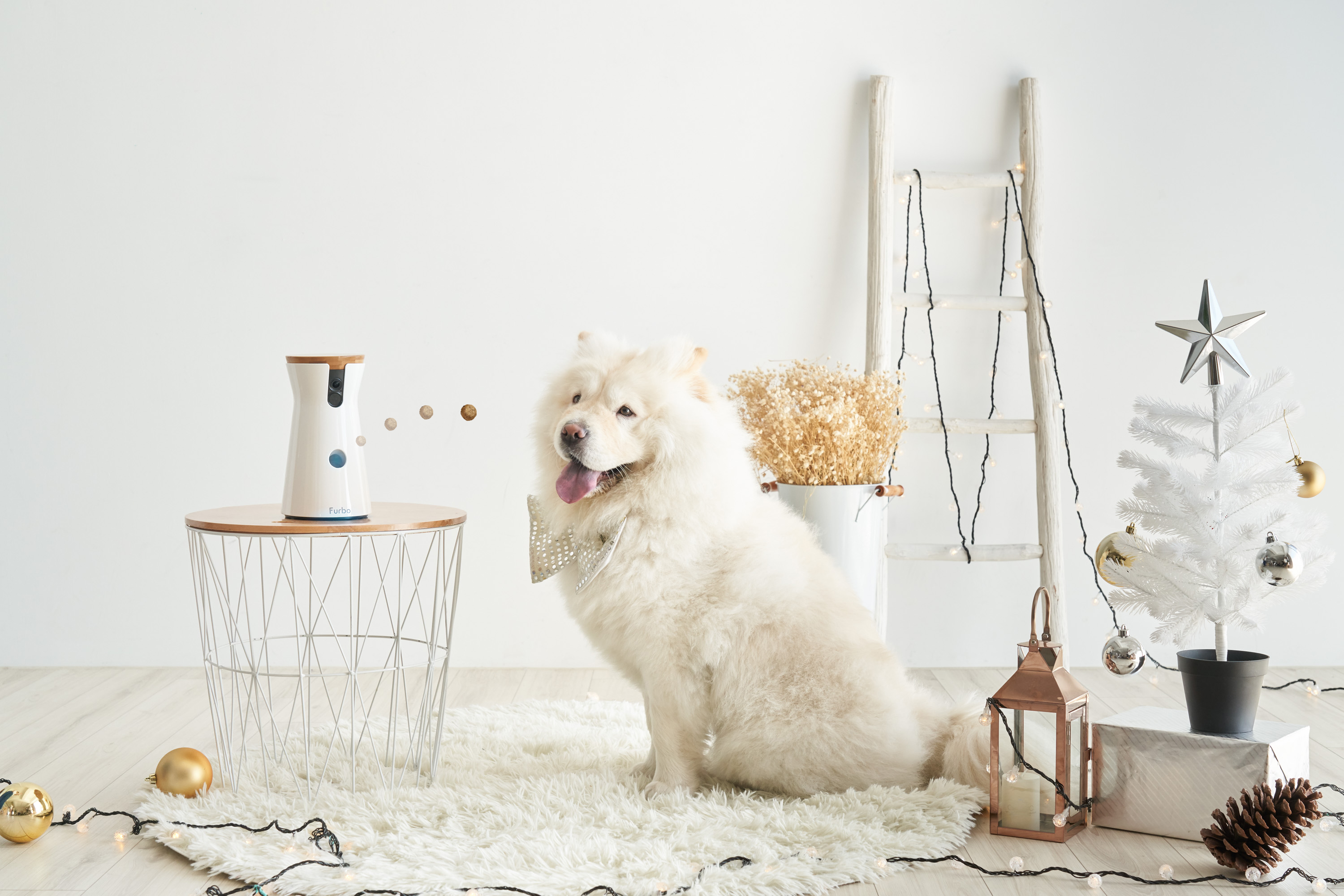 Furbo Dog Camera Giveaway