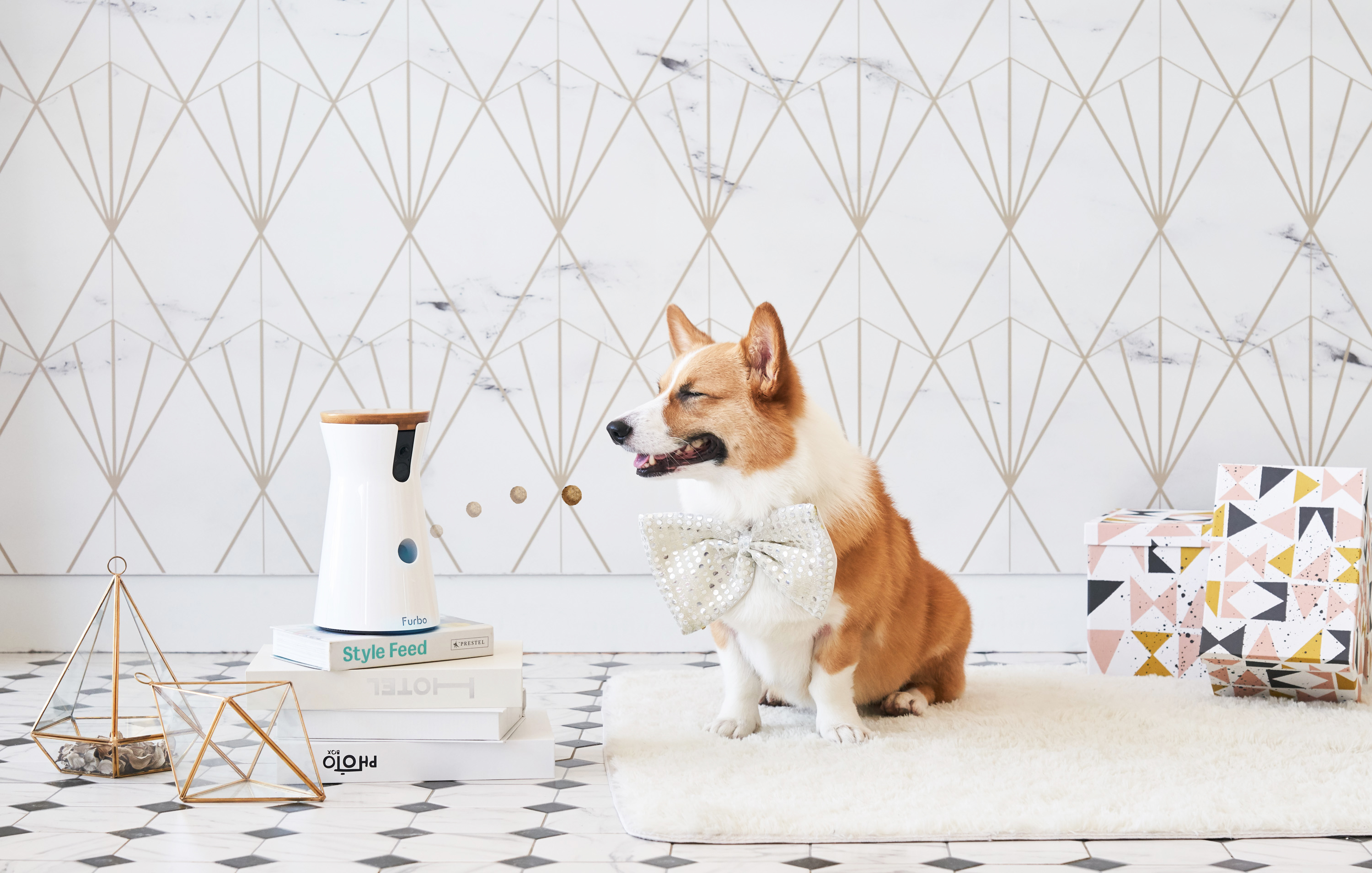 Furbo Dog Camera