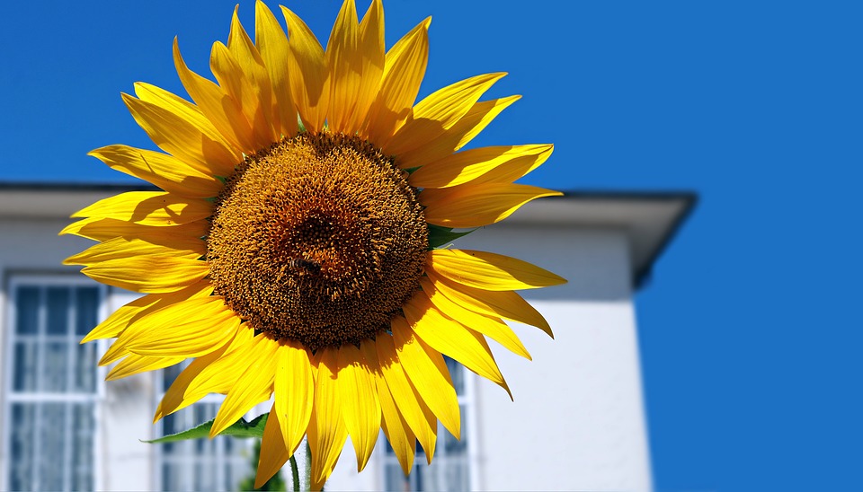 Five Benefits of Adding Air Conditioning To Your Home