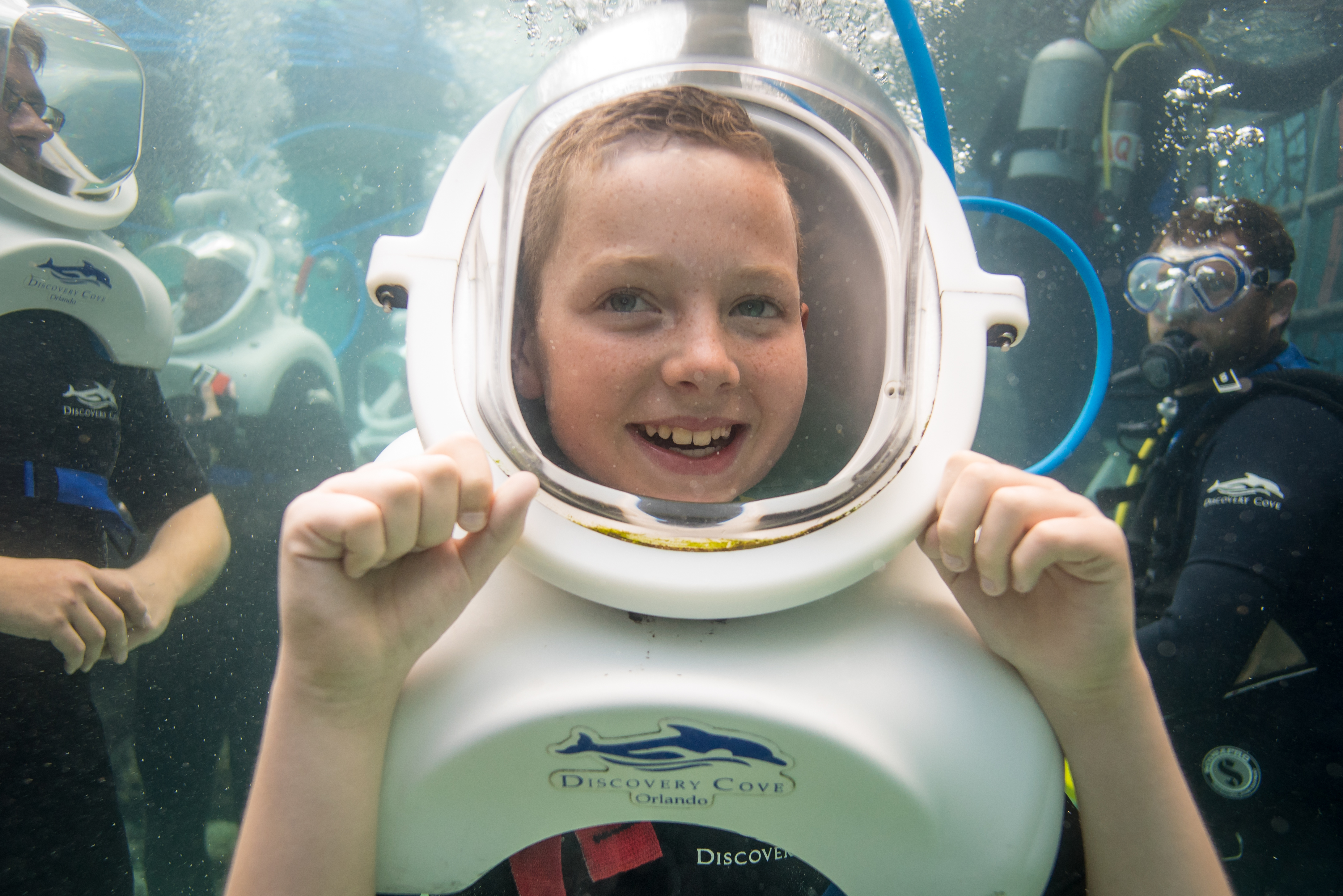 Visit Discovery Cove
