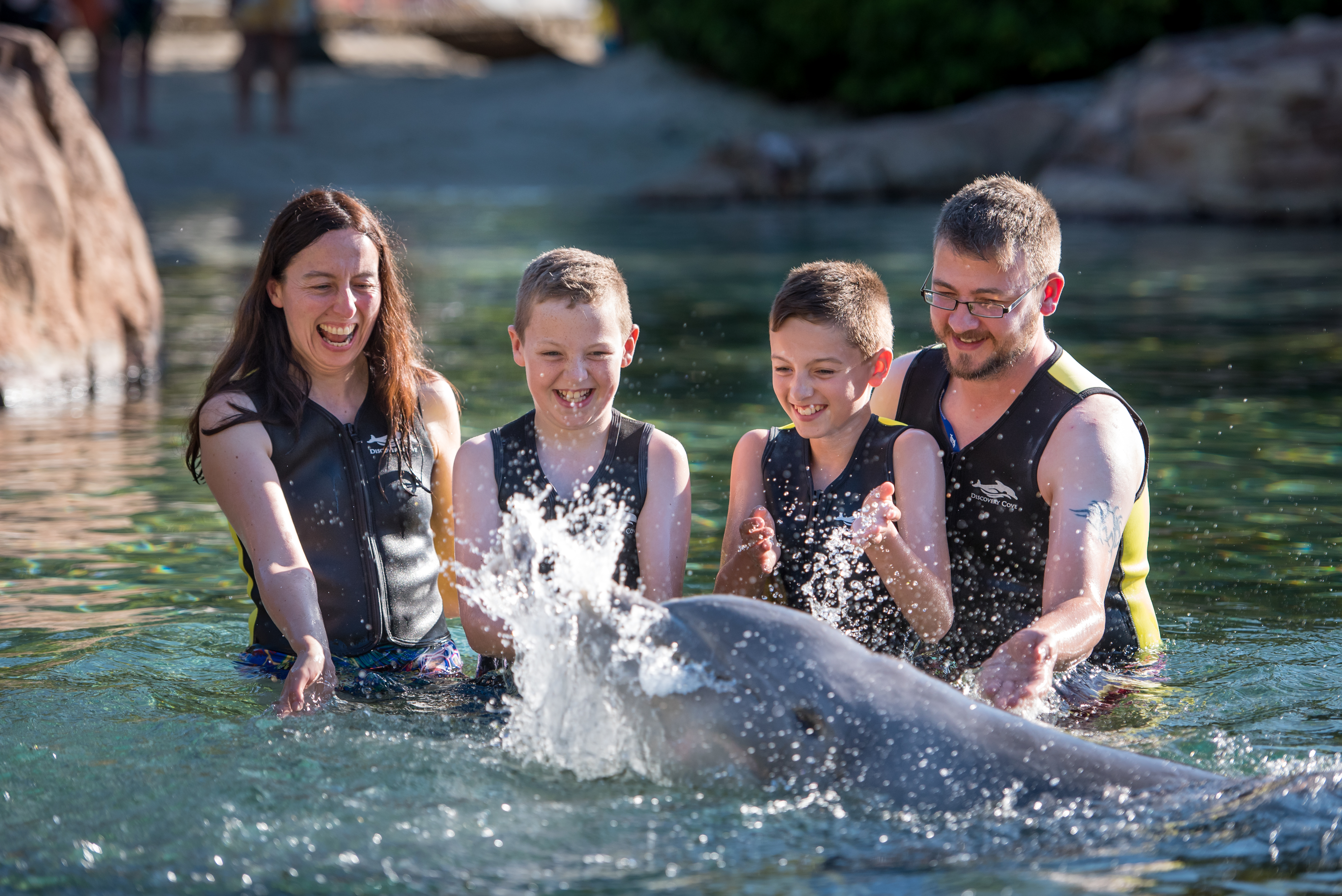 Visit Discovery Cove