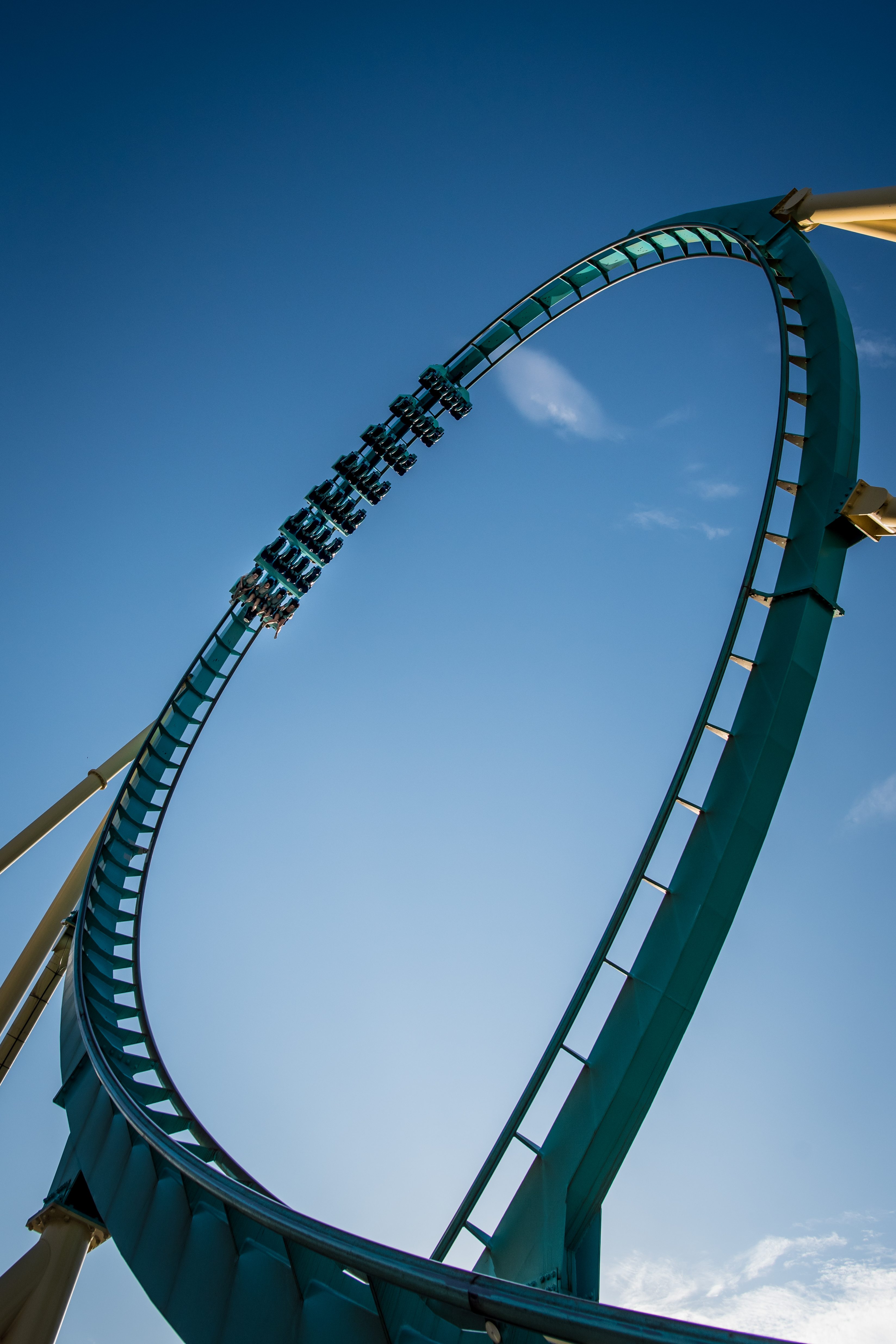 Visit SeaWorld