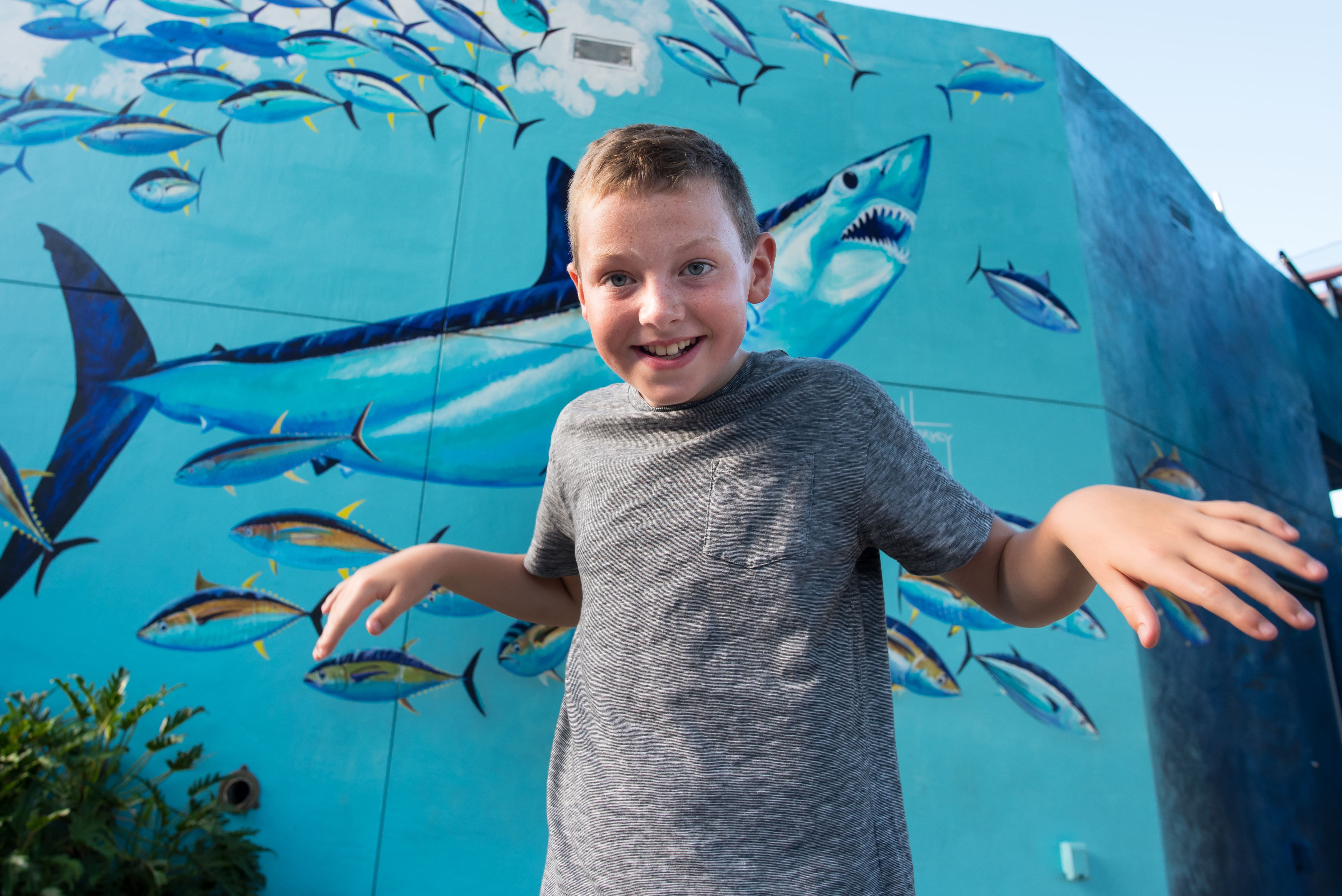 Visit SeaWorld