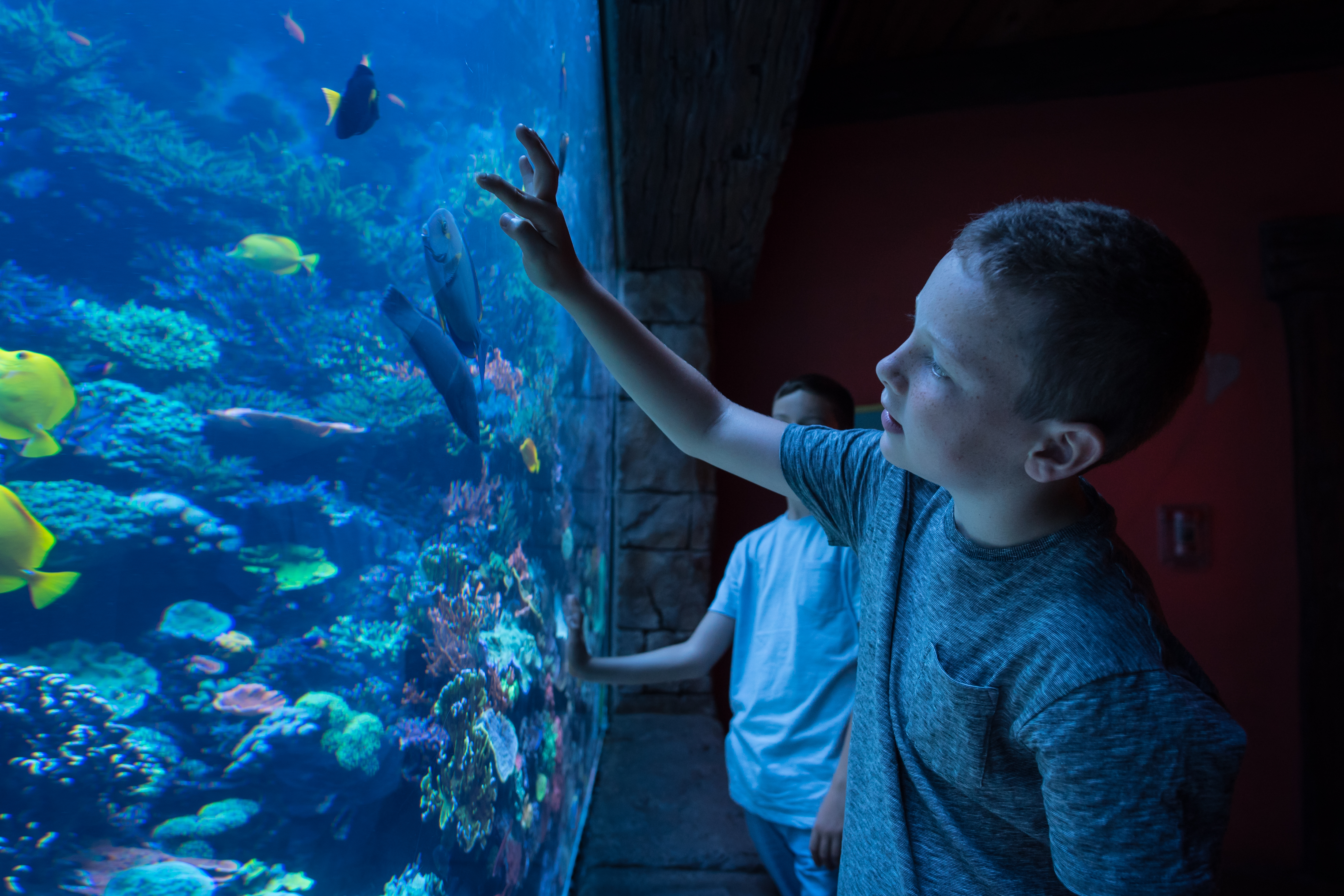 Visit SeaWorld