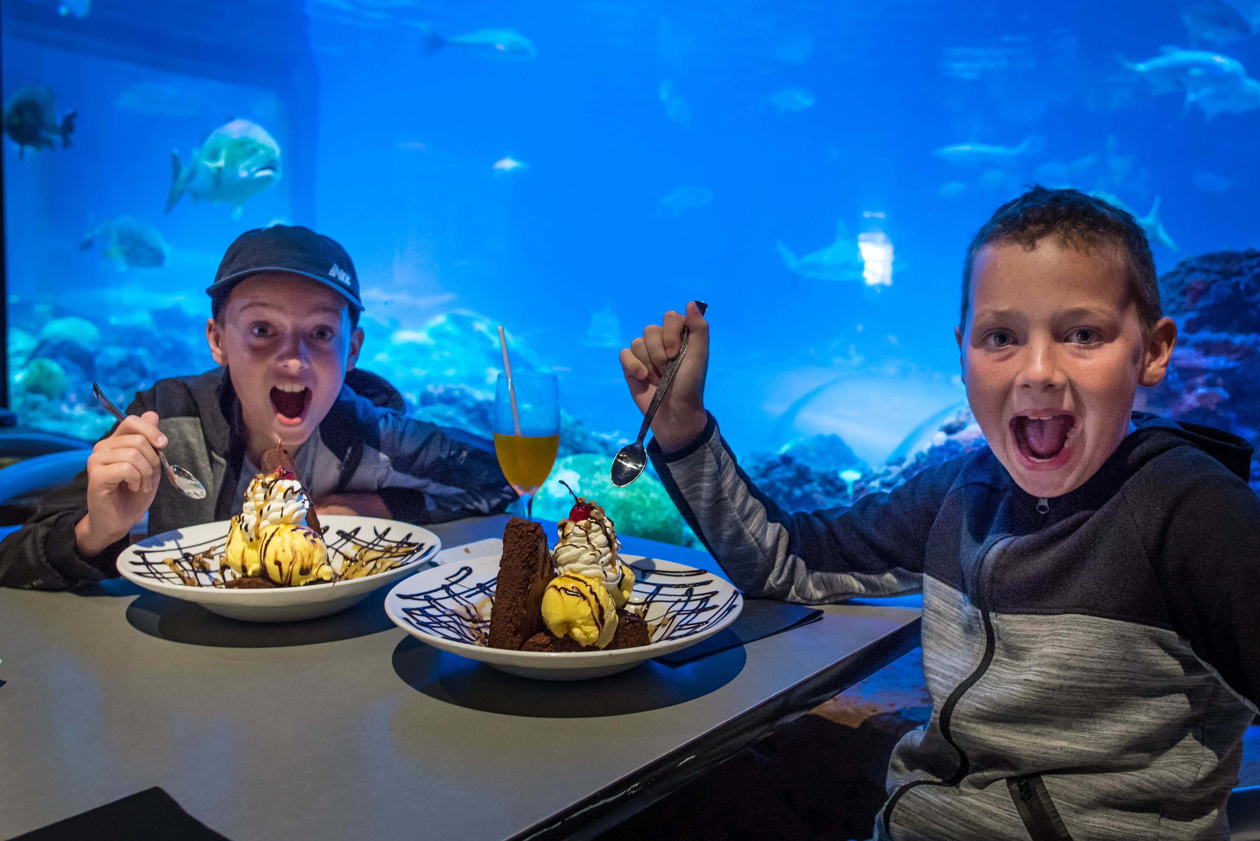 Visit SeaWorld