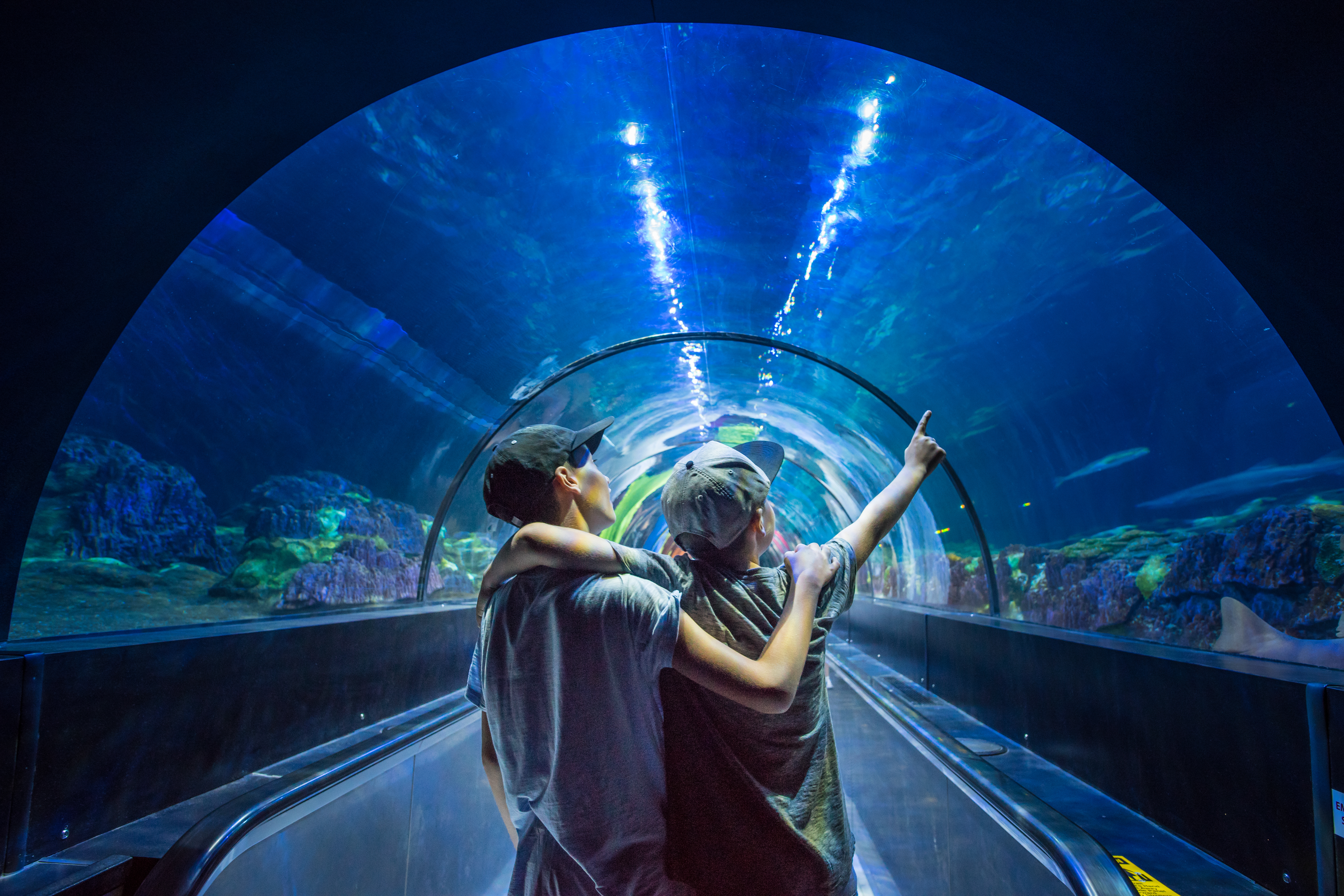Visit Seaworld