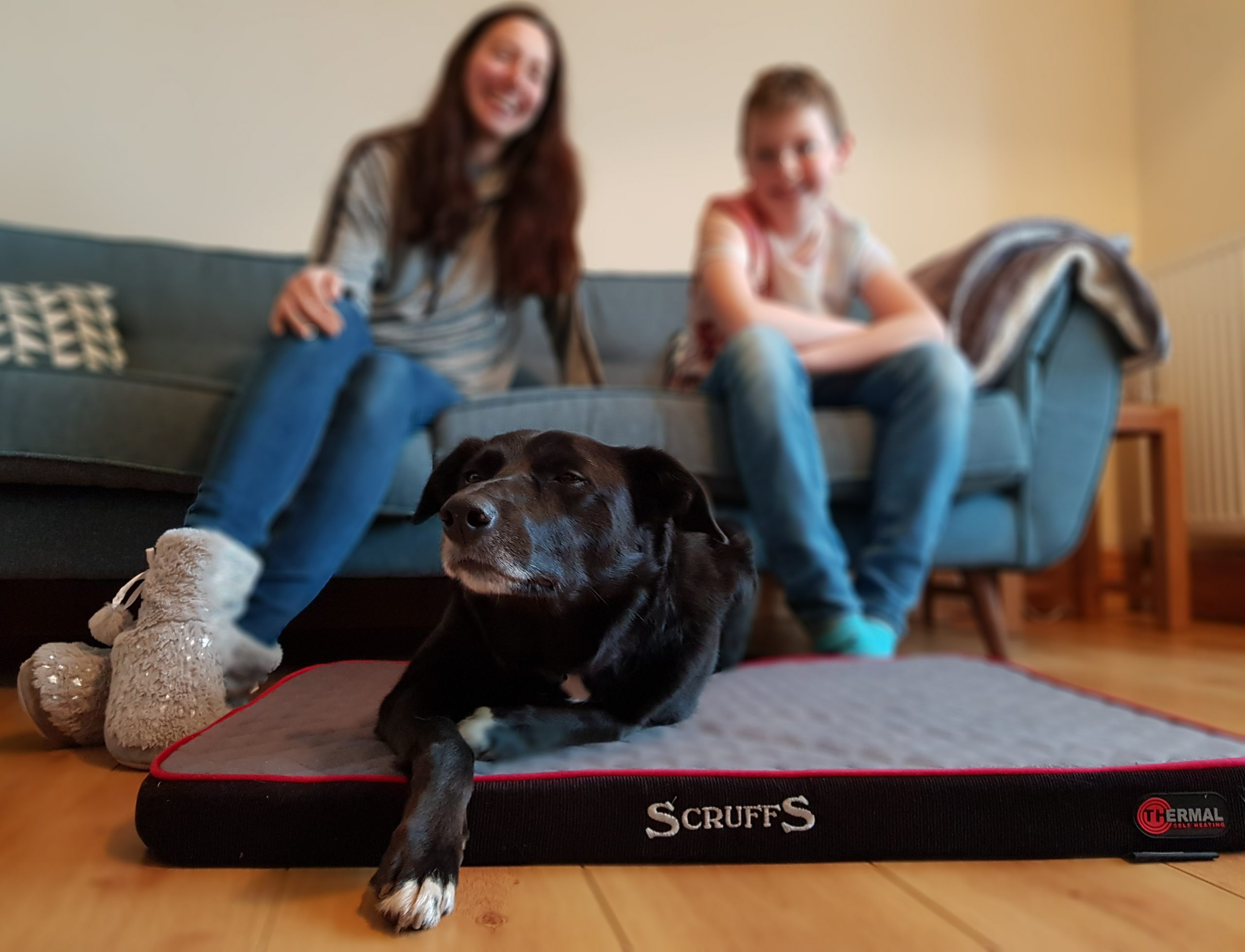 Scruffs Thermal Pet Mattress