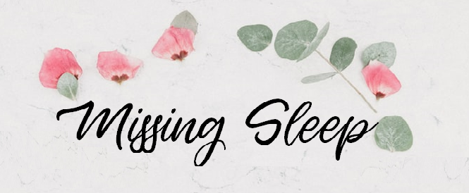 missing sleep logo