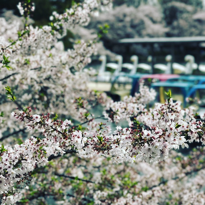 inokashira tokyo