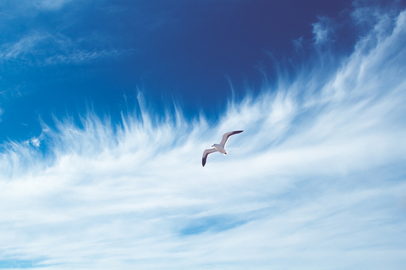 The Science Behind Air Quality and How to Hack It for Better Health