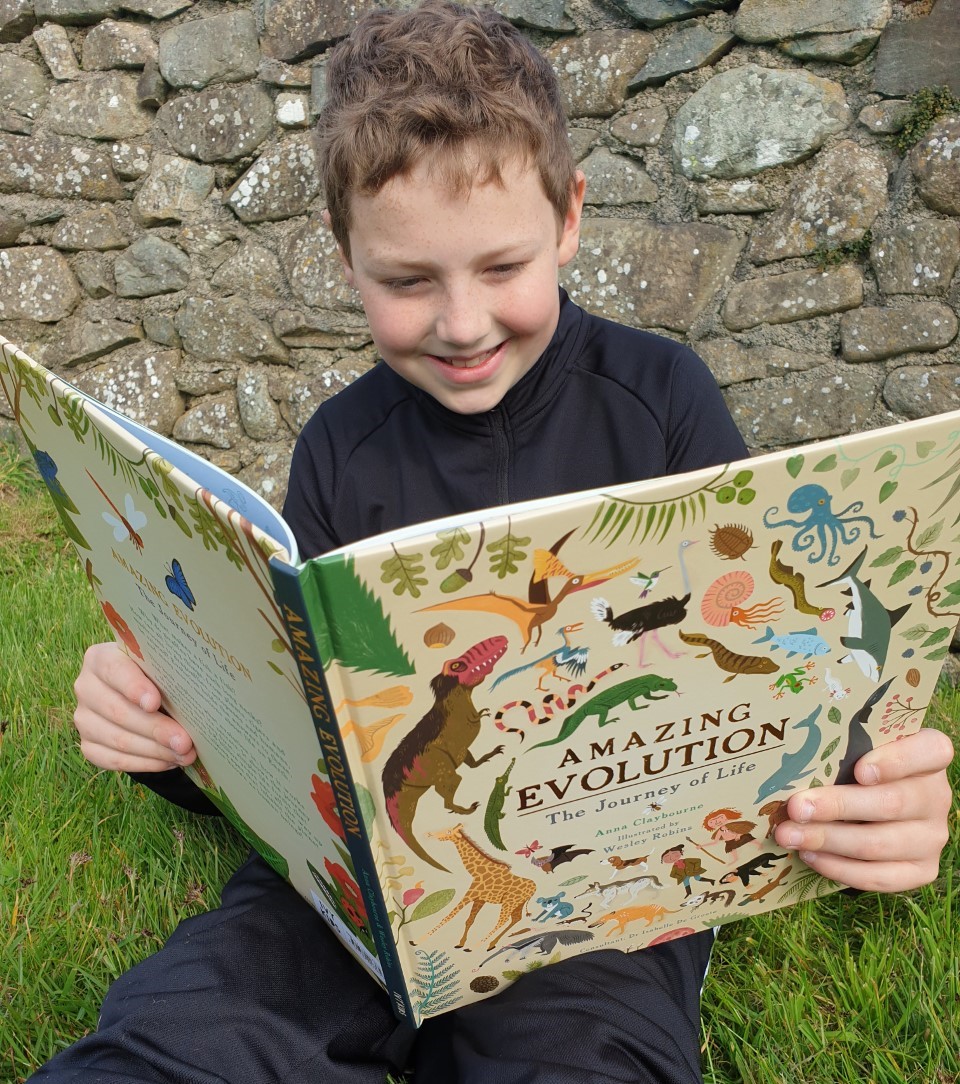 Quarto evolution book
