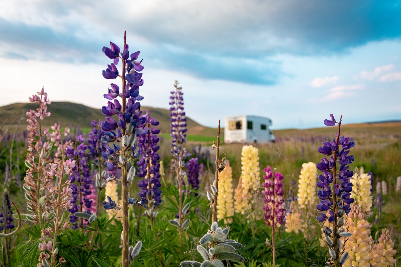 Future Travel Plans: Whether to Invest in A Motorhome