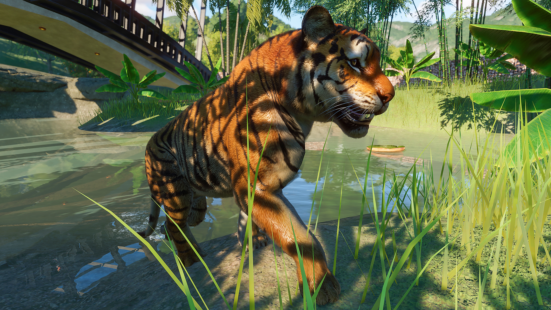 Planet Zoo