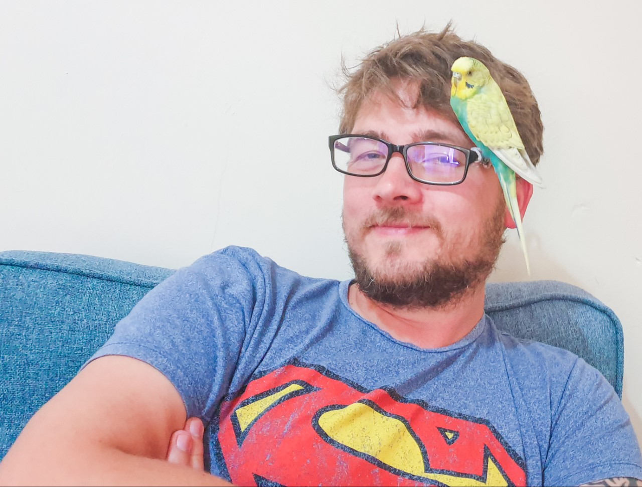 budgie perch