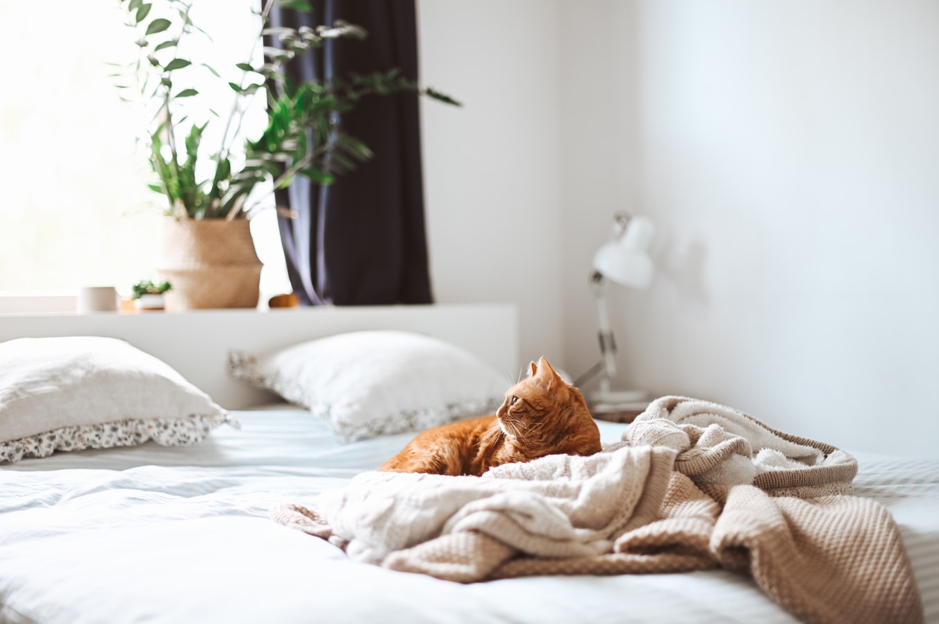 sleep quality mattress