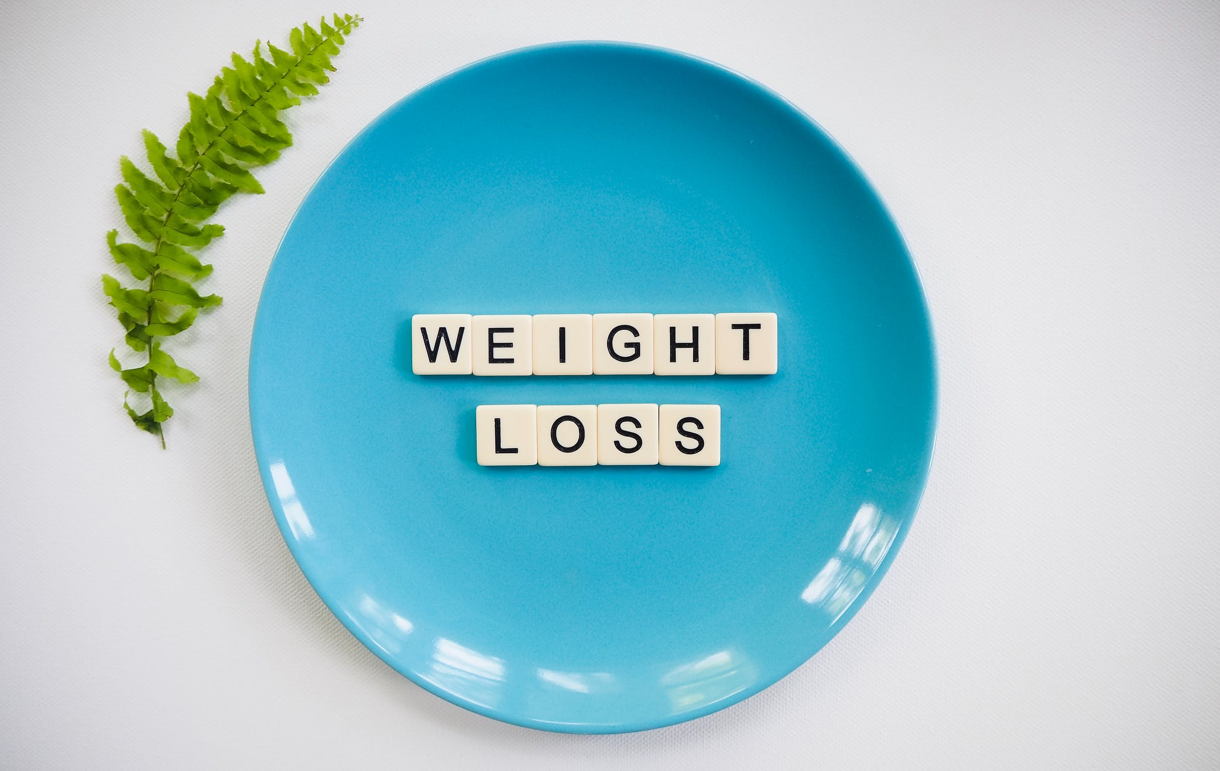 diet food meal plan