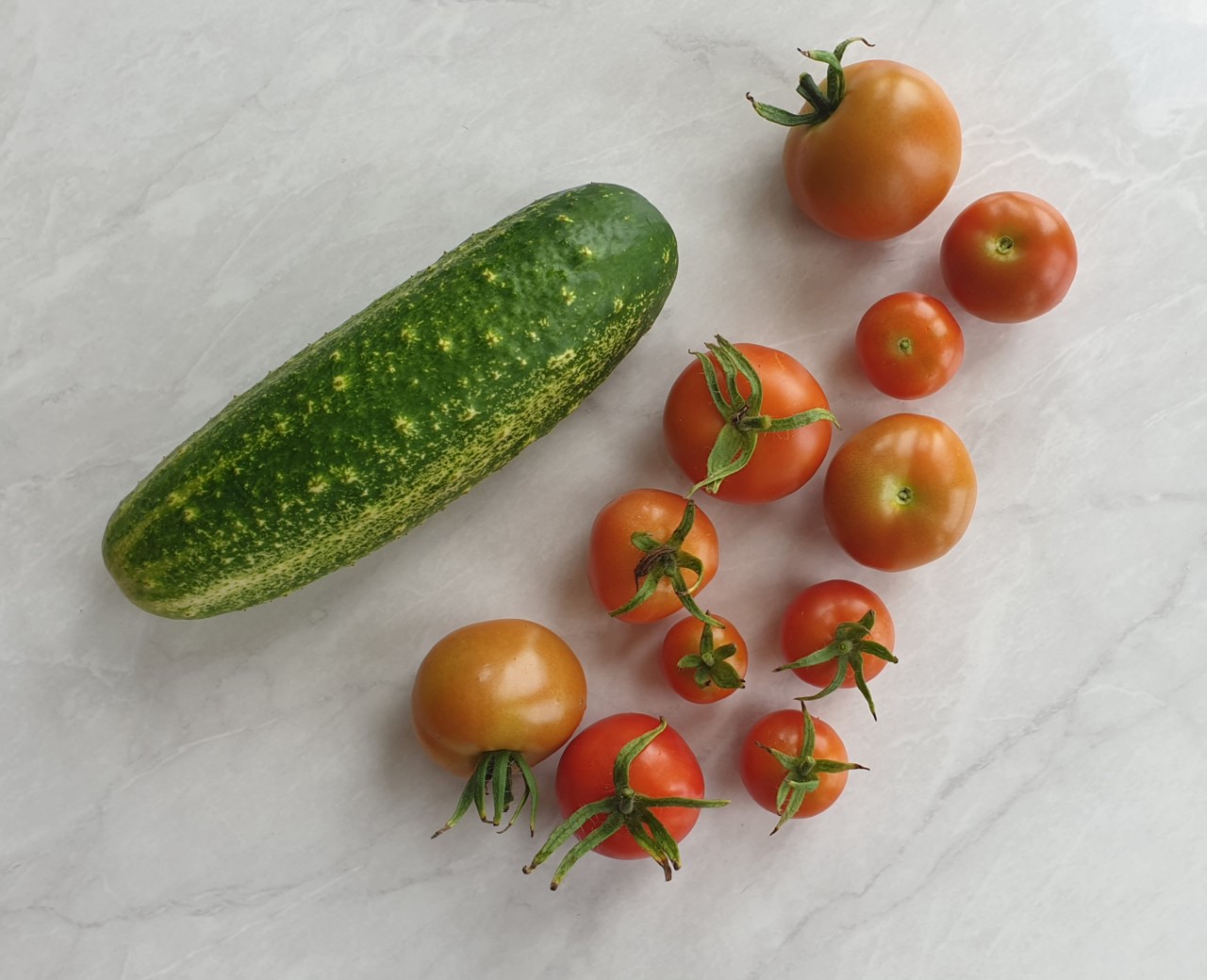 vegetables