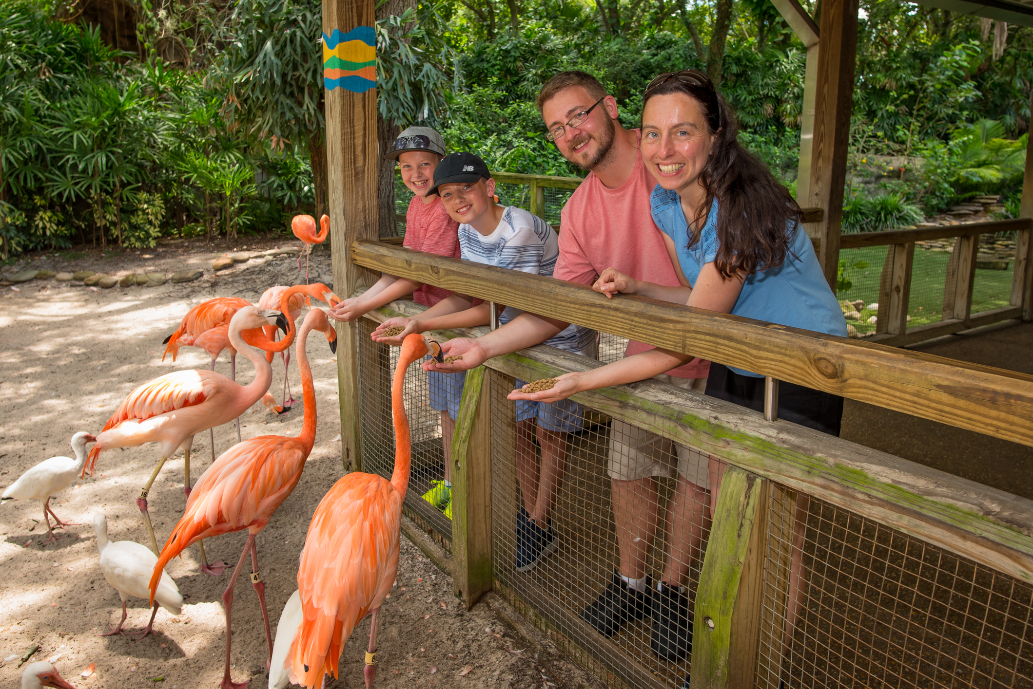 The benefits of a Family Holiday